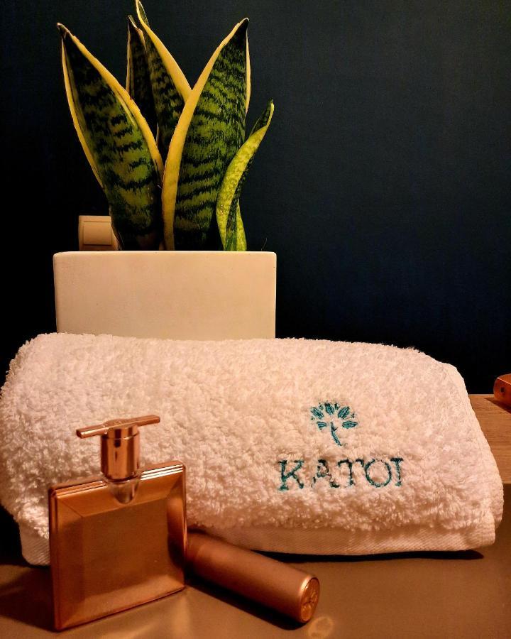 Katoi Traditional House Exo Khora Екстериор снимка
